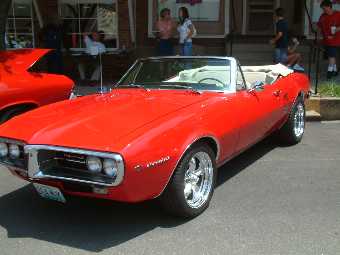 D6045008.jpg
