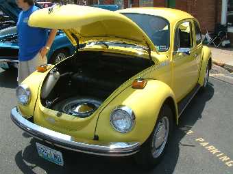 D6045023.jpg
