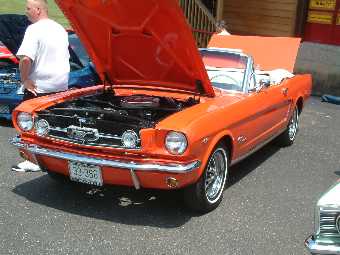 D6045027.jpg